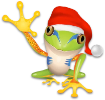 Tree frog wearing Santa hat